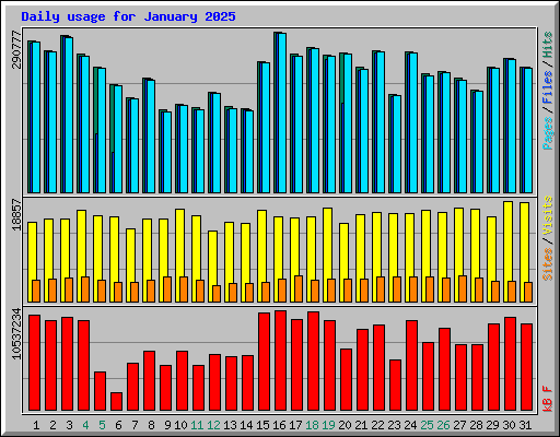 Daily usage for January 2025