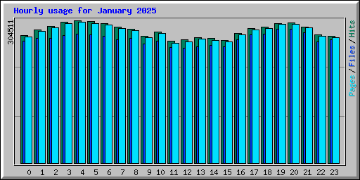 Hourly usage for January 2025